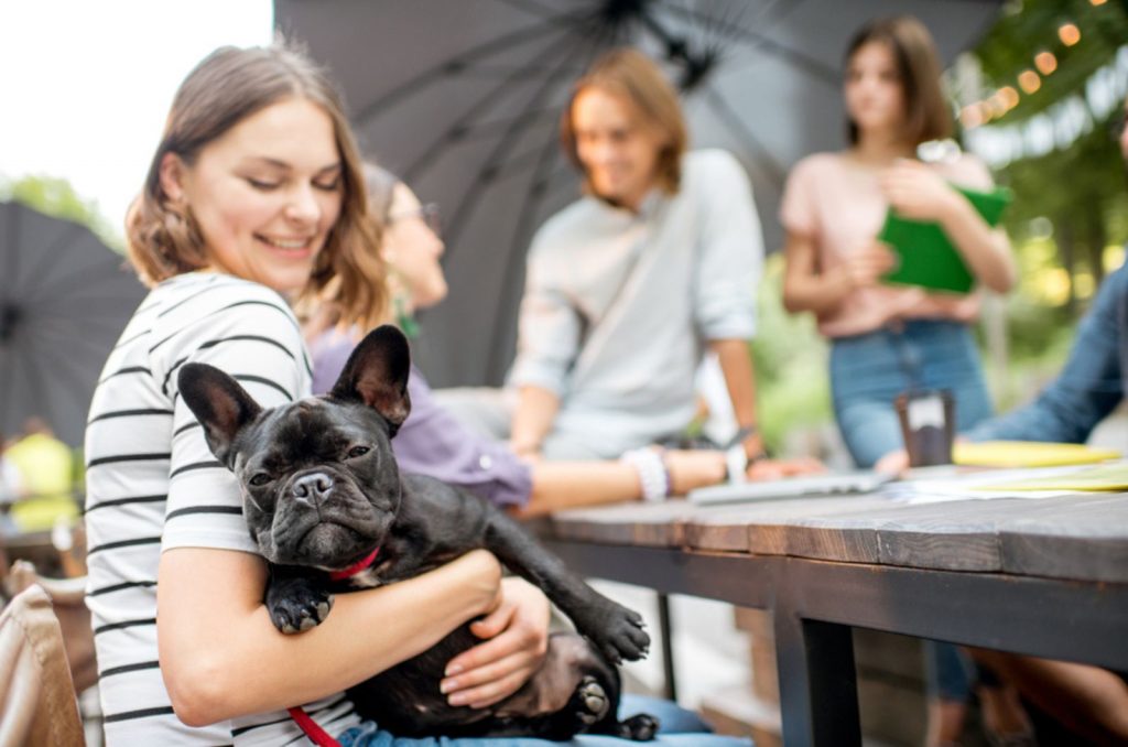 una chica sosteniendo un perro en sus manos mientras estudia con amigos al aire libre