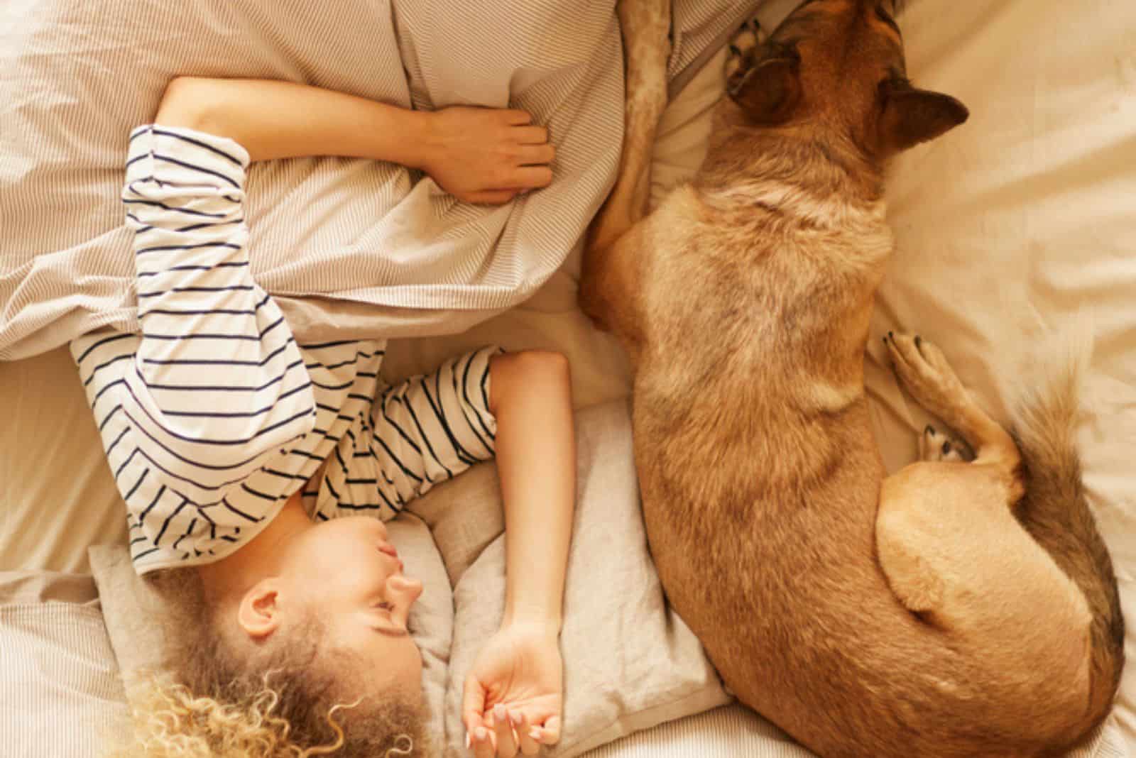 una niña pequeña duerme con un Pastor alemán