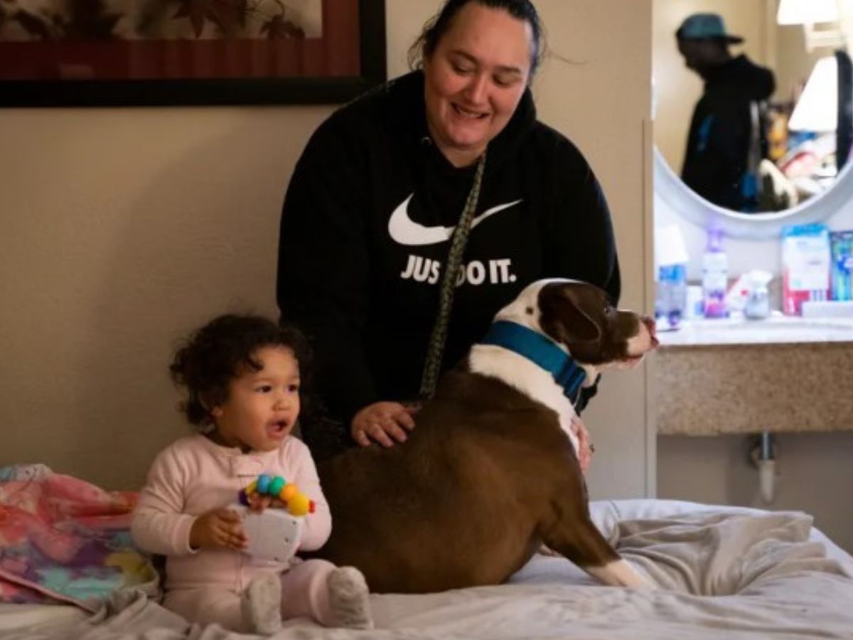 bebé niña y perro en la casa