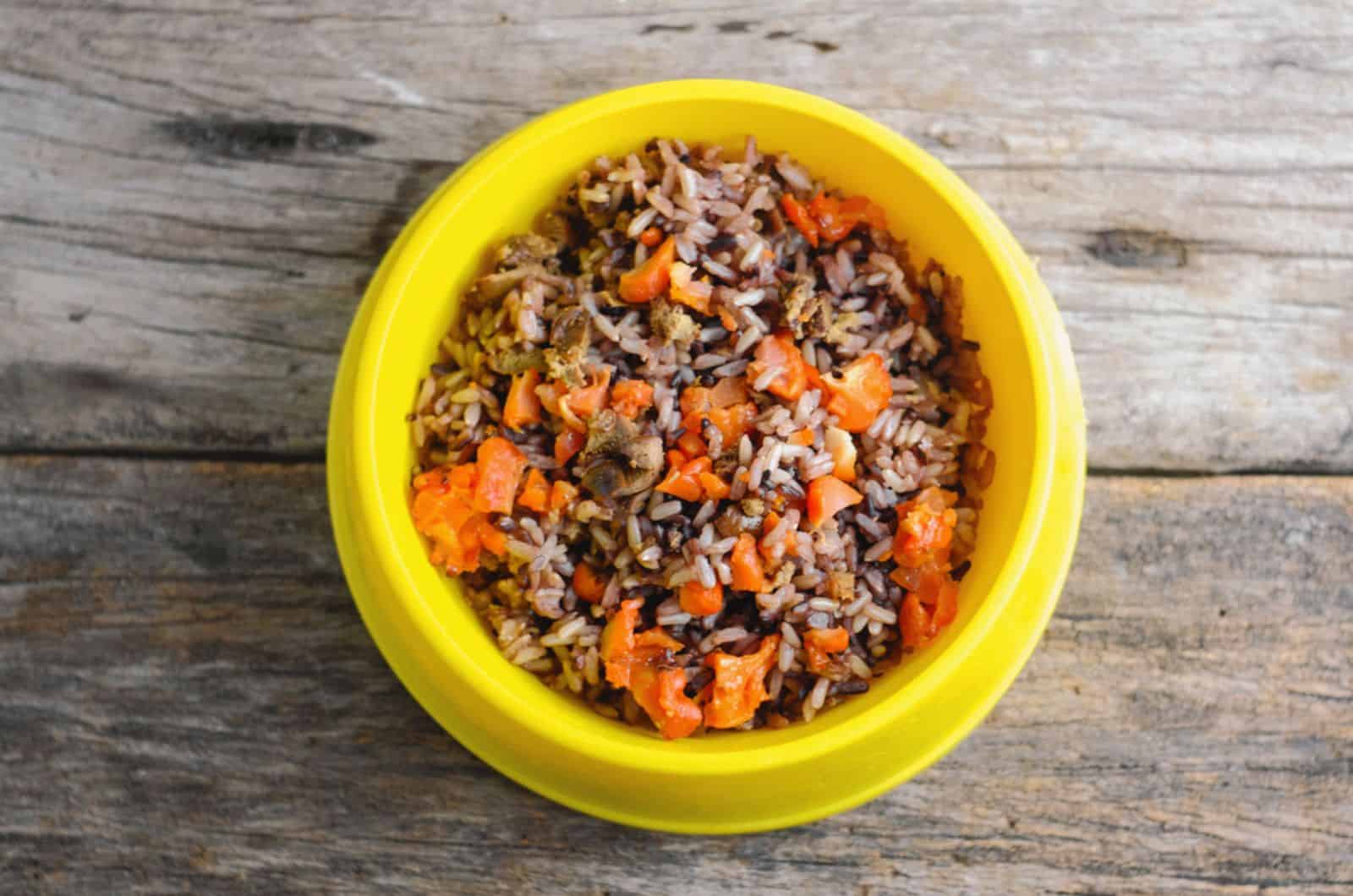 arroz integral en un recipiente amarillo para perro