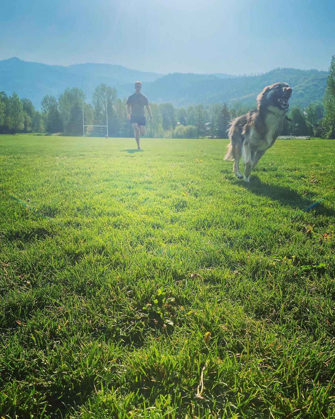 perro y persona corriendo