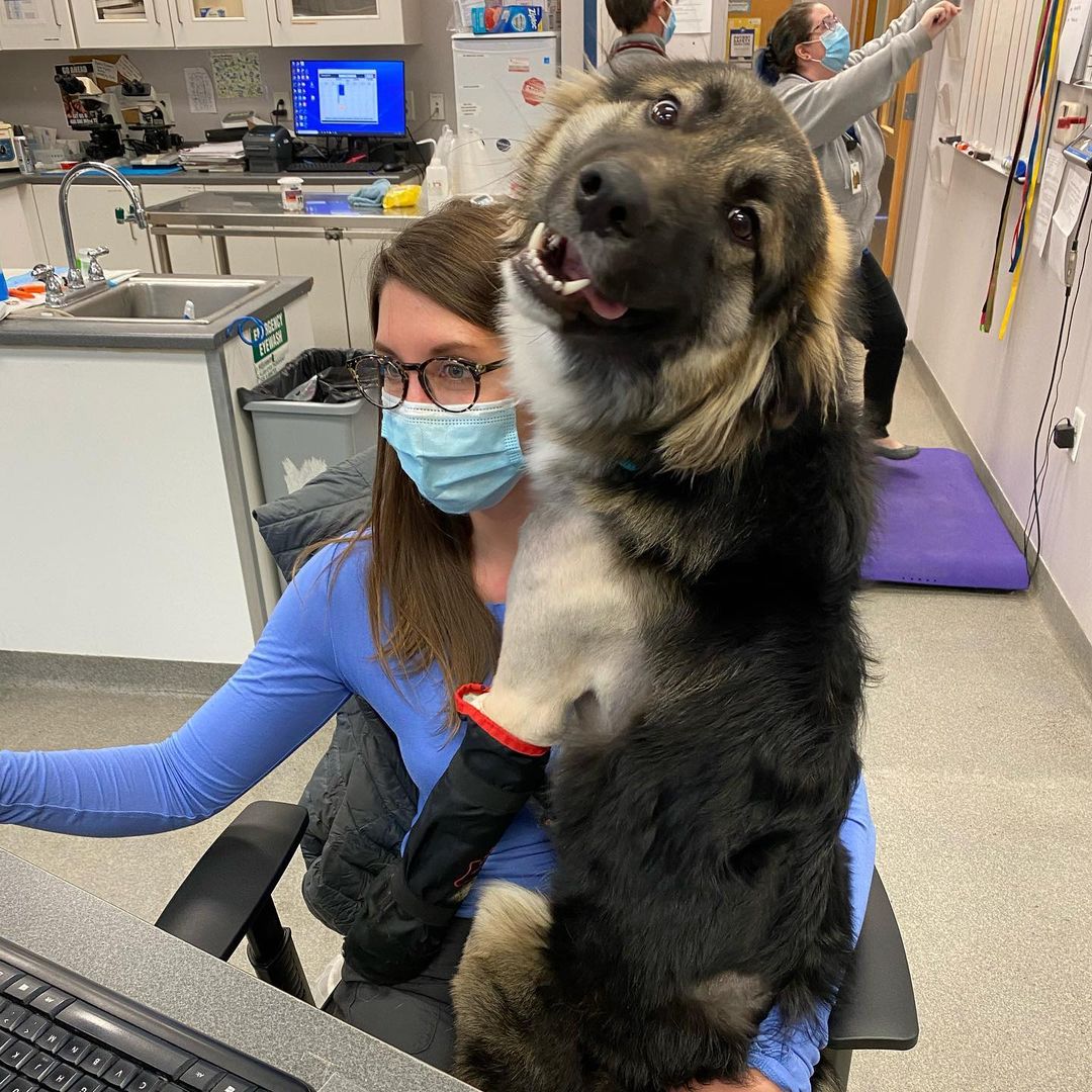 perro y veterinaria sentados juntos