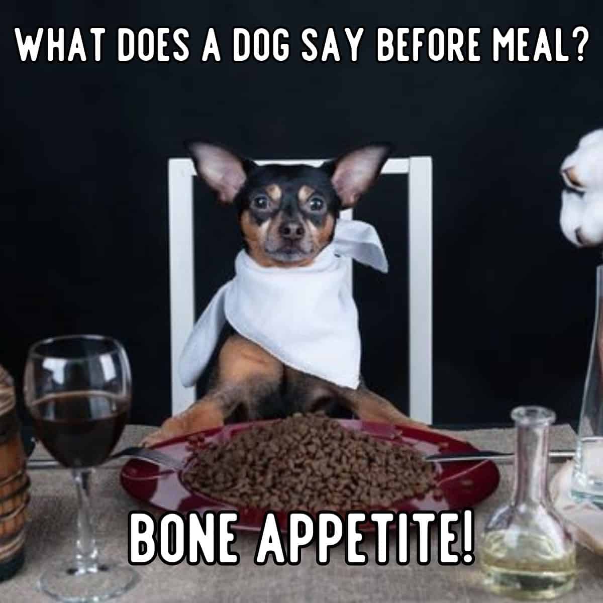 chiste de perro sobre comida