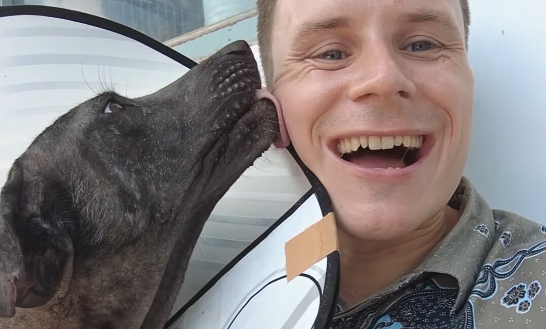perro lamiendo la cara del hombre
