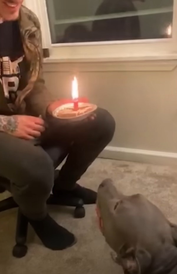 perro mirando una vela en manos de un hombre