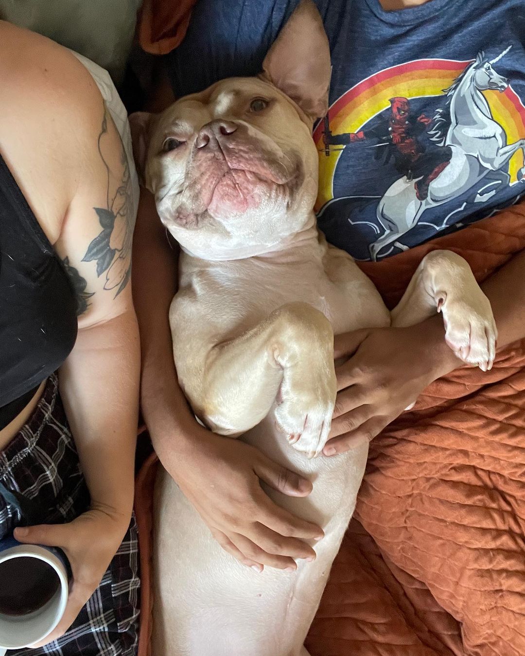 perro tumbado entre personas