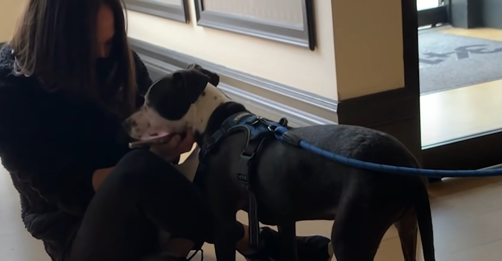 perro con correa con una mujer