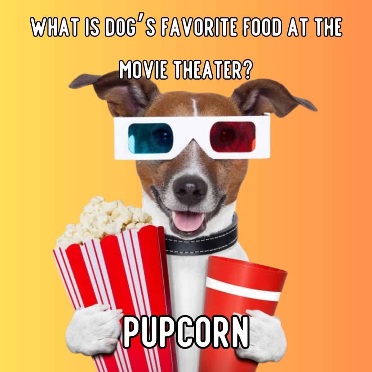 chiste de la comida favorita de un perro