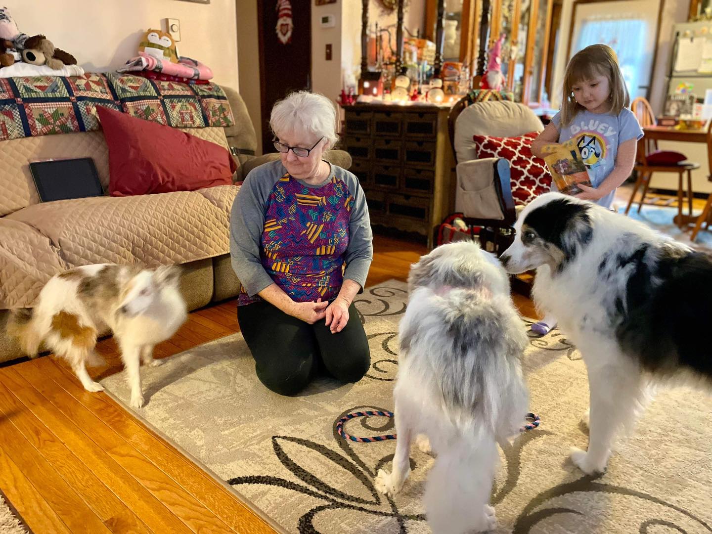 familia y perros