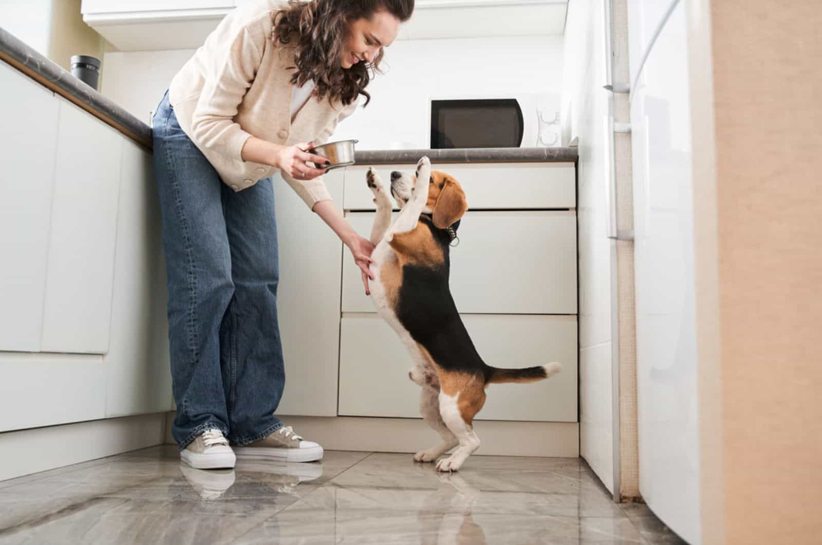 propietaria alimentando a su perro en la cocina