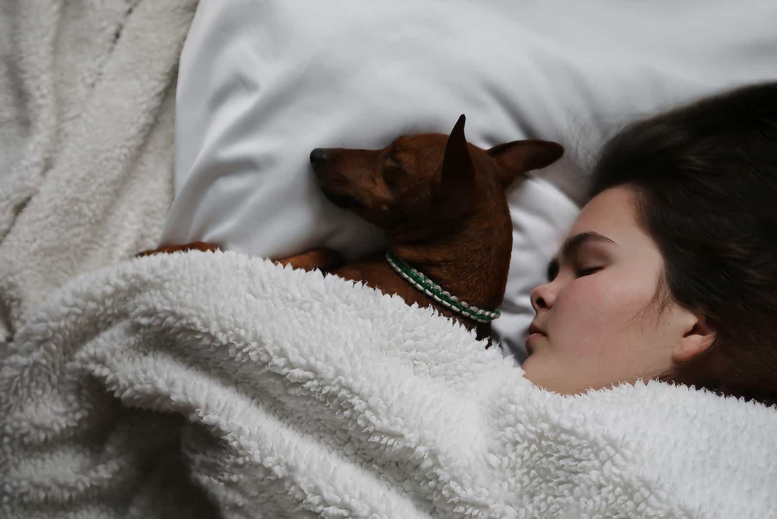 niña y perro durmiendo en la cama