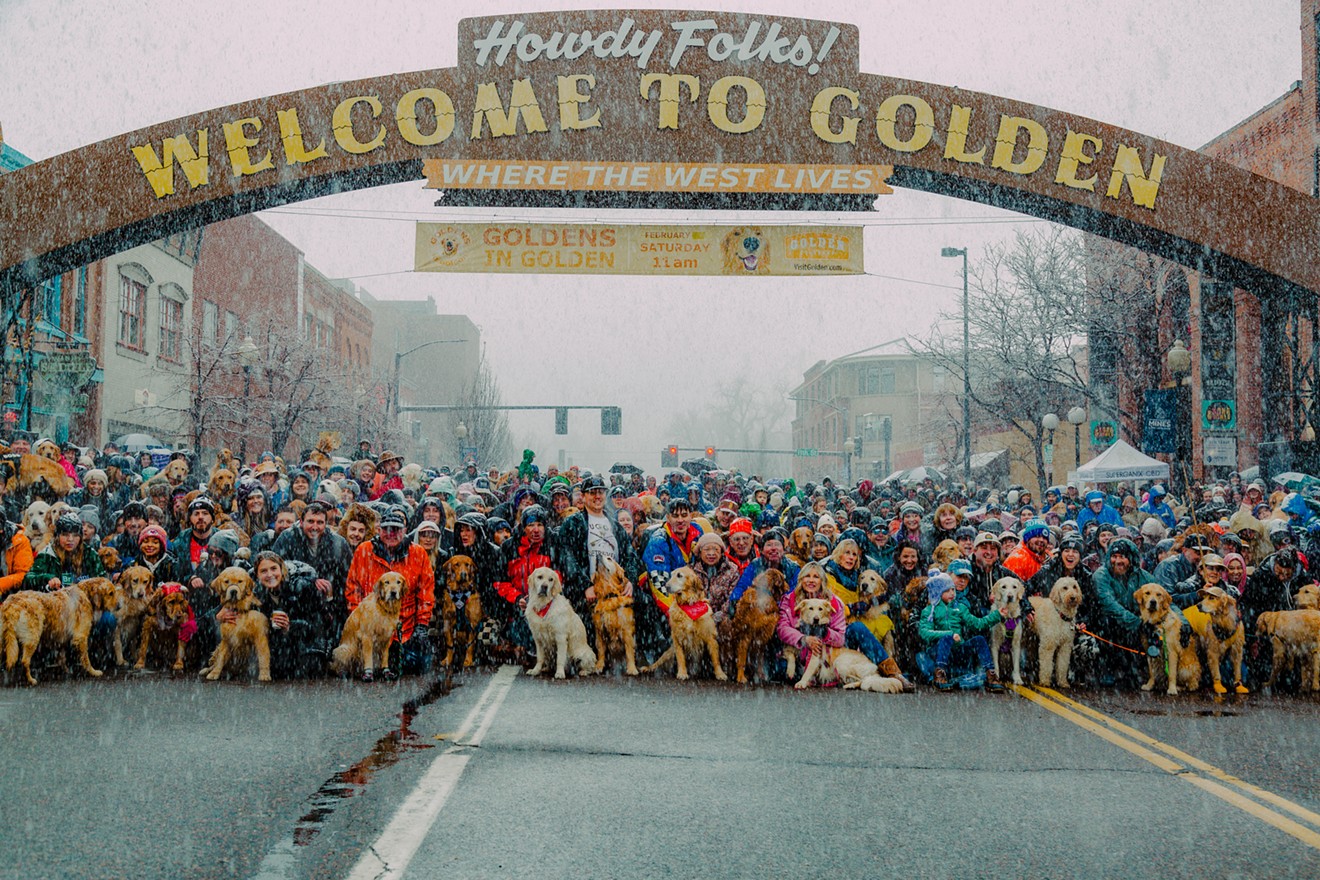 golden retrievers y dueños en la reunión anual