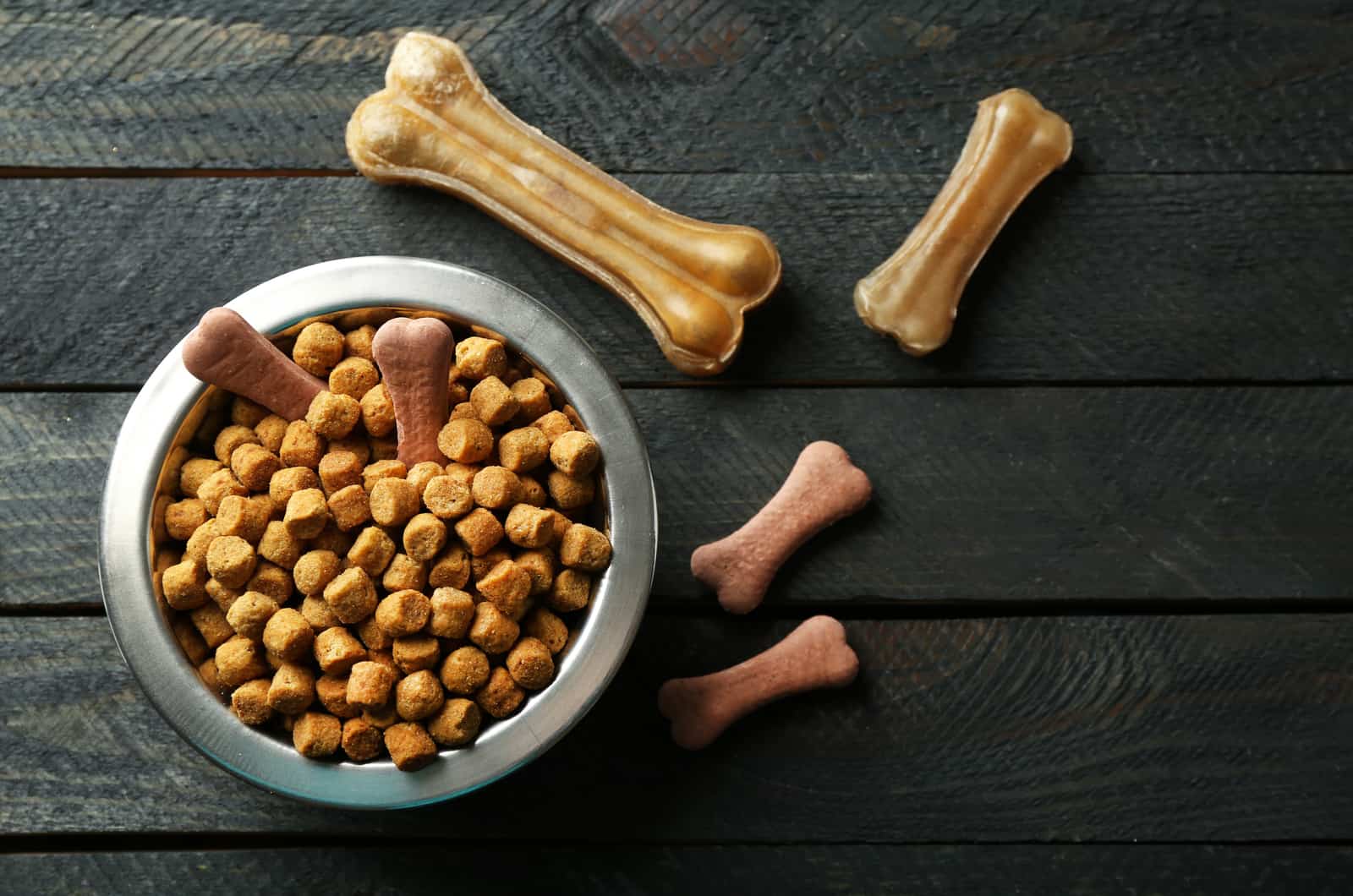 fondo gris y tazón con comida para perro