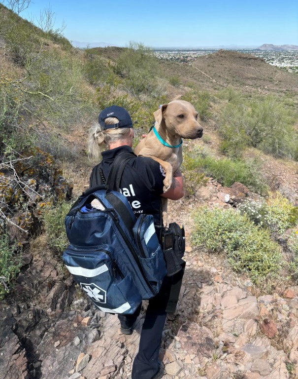 mujer excursionista sosteniendo un perro