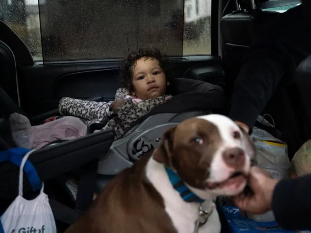 bebé pequeño y perro
