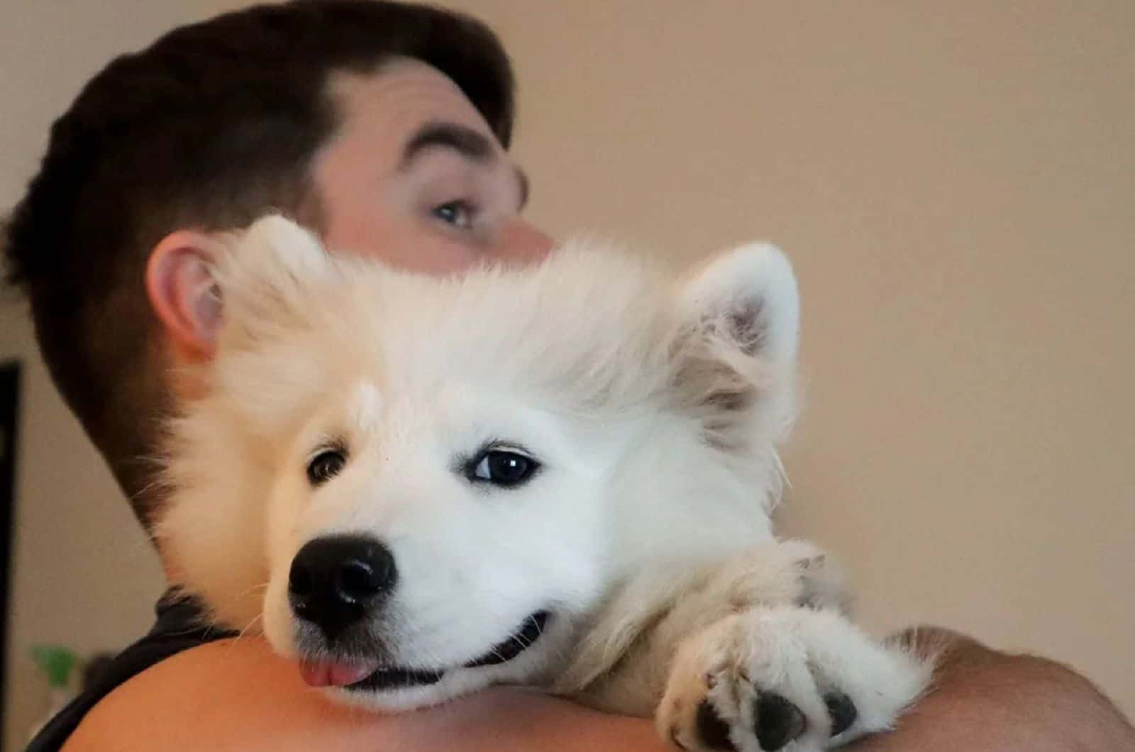 hombre sosteniendo su samoyedo en brazos