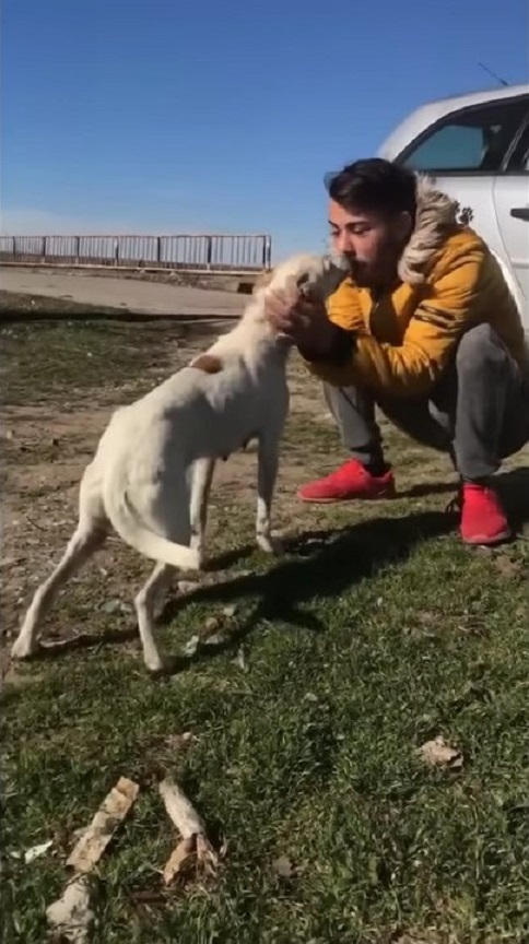 hombre besando a un perro