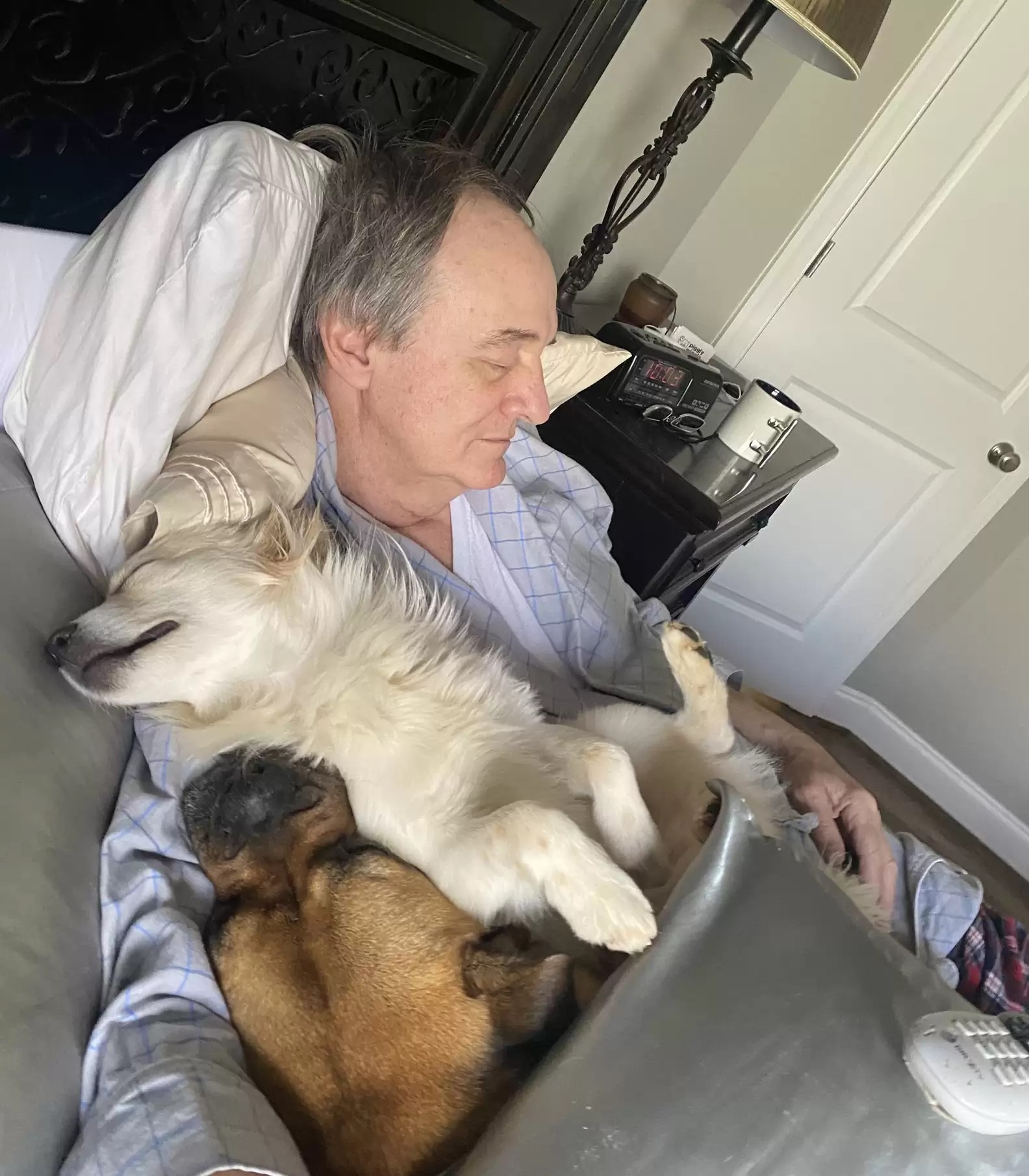 hombre durmiendo con perro en su regazo
