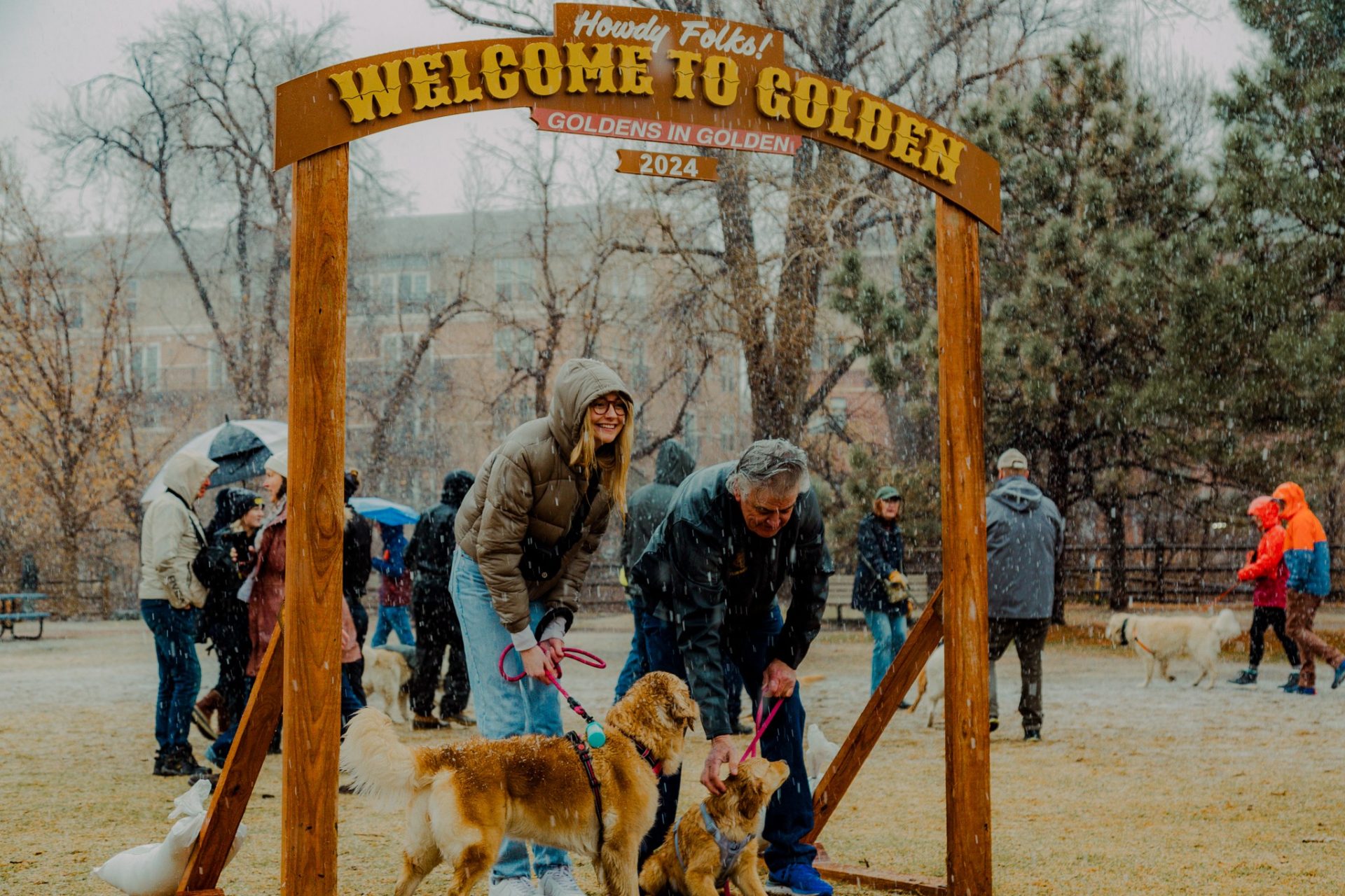 hombre, mujer y dos golden retrievers