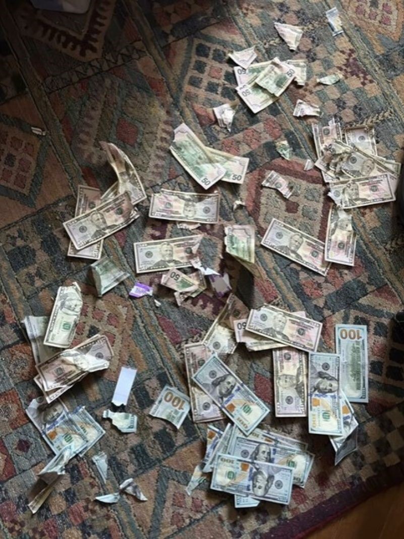 dinero en el suelo