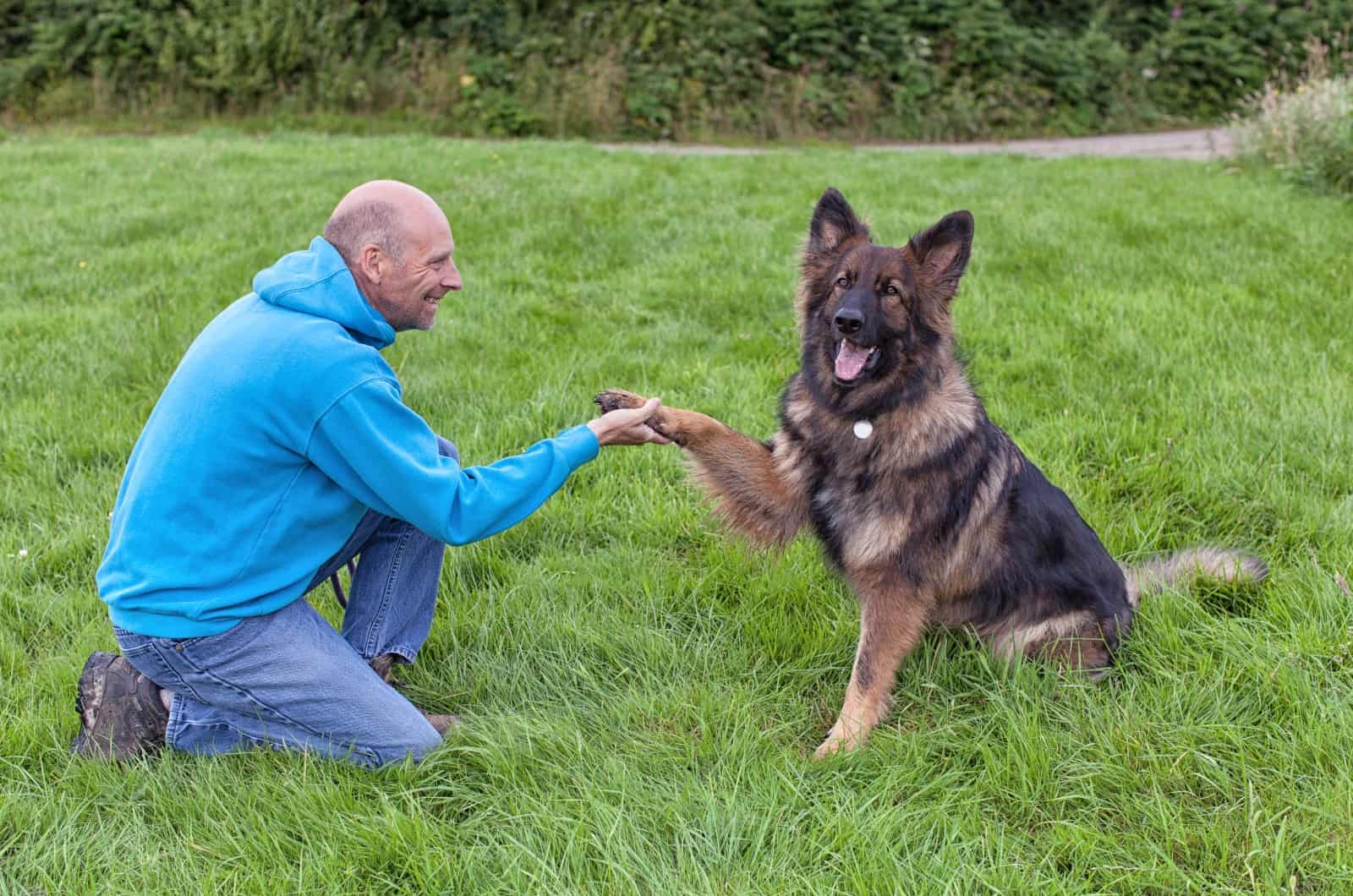 dueño sosteniendo la pata del perro
