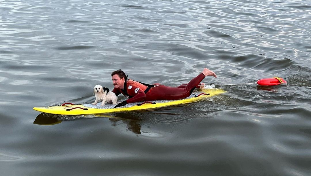 foto de salvavidas y pequeño perro en una tabla de remo