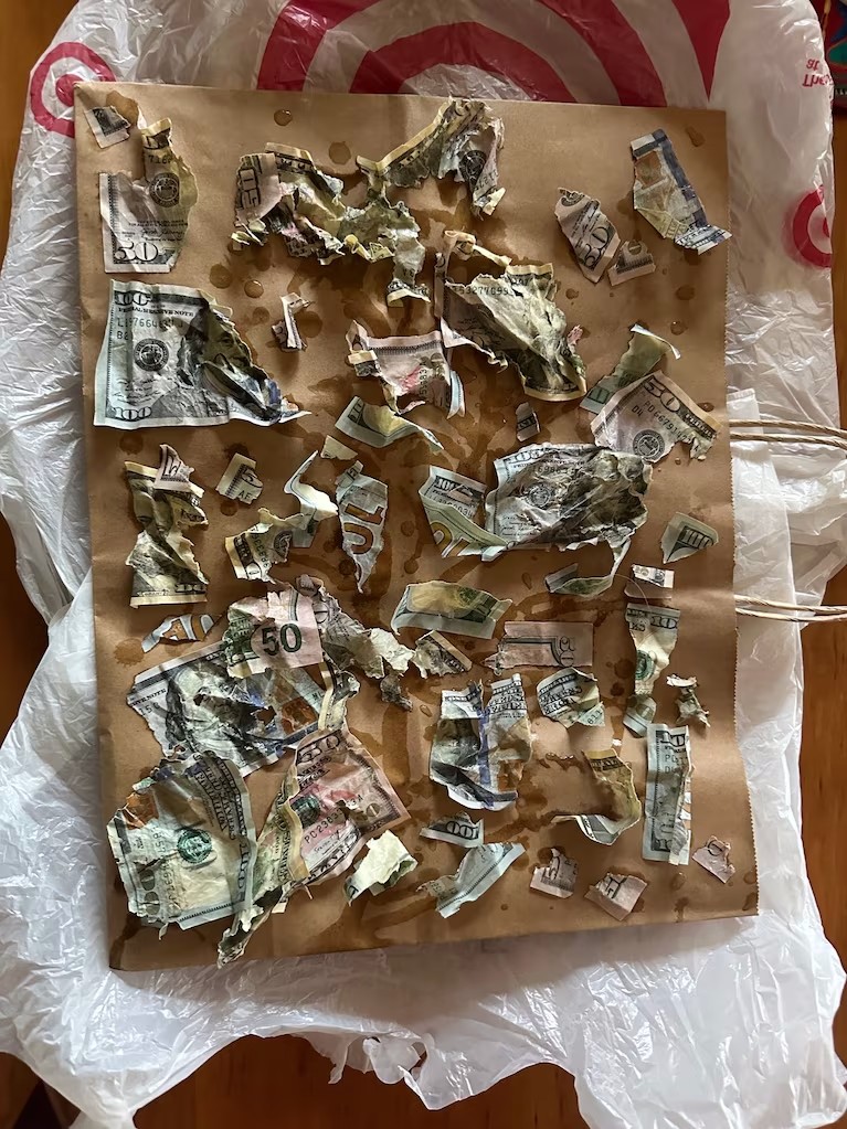 dinero rasgado