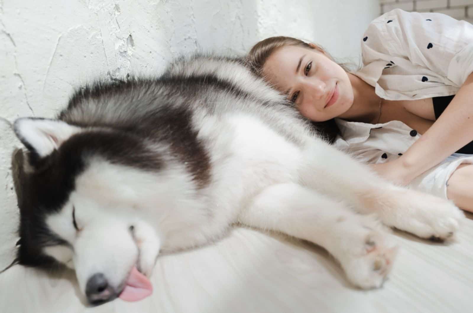 alaskan malamute durmiendo y joven mujer acostada en el suelo