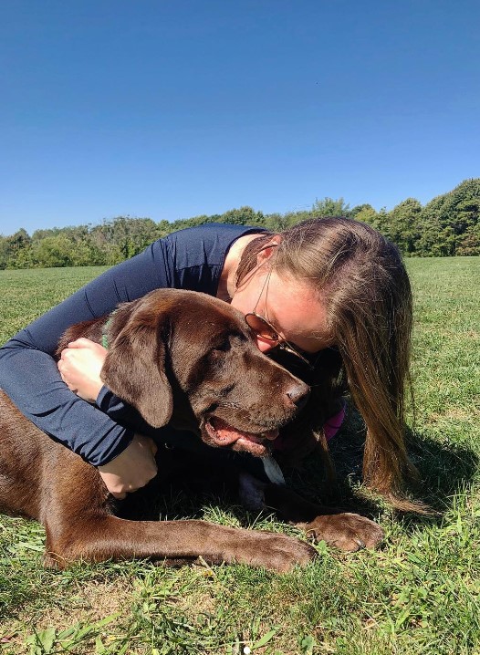 el perro y la niña en el campo intercambian caricias