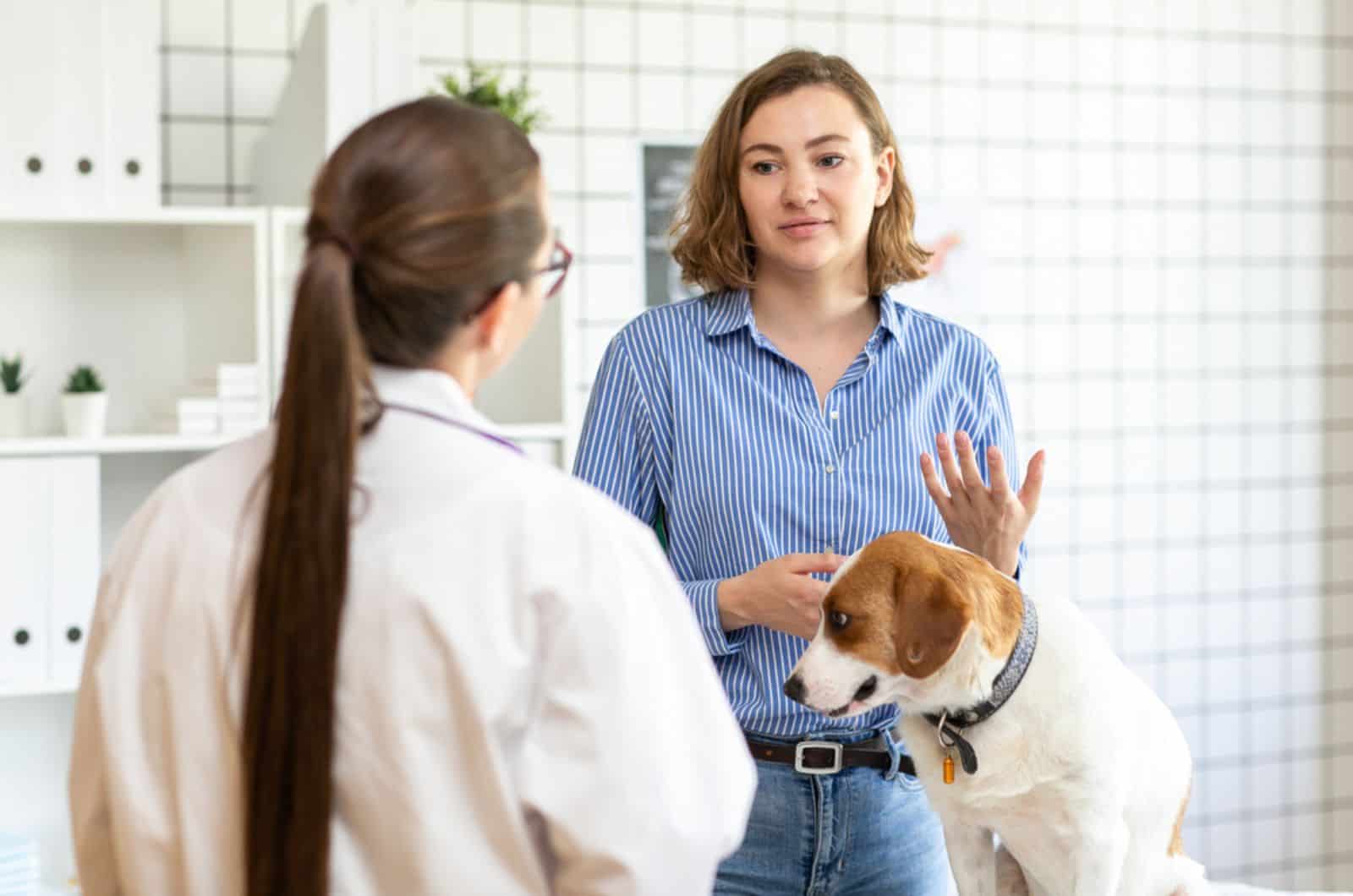 veterinario y el cliente con el perro hablando sobre el tratamiento