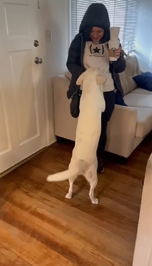 perro blanco y dueño en la casa