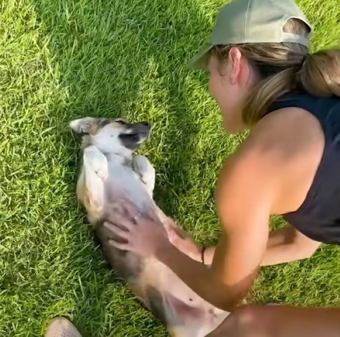 mujer y perro