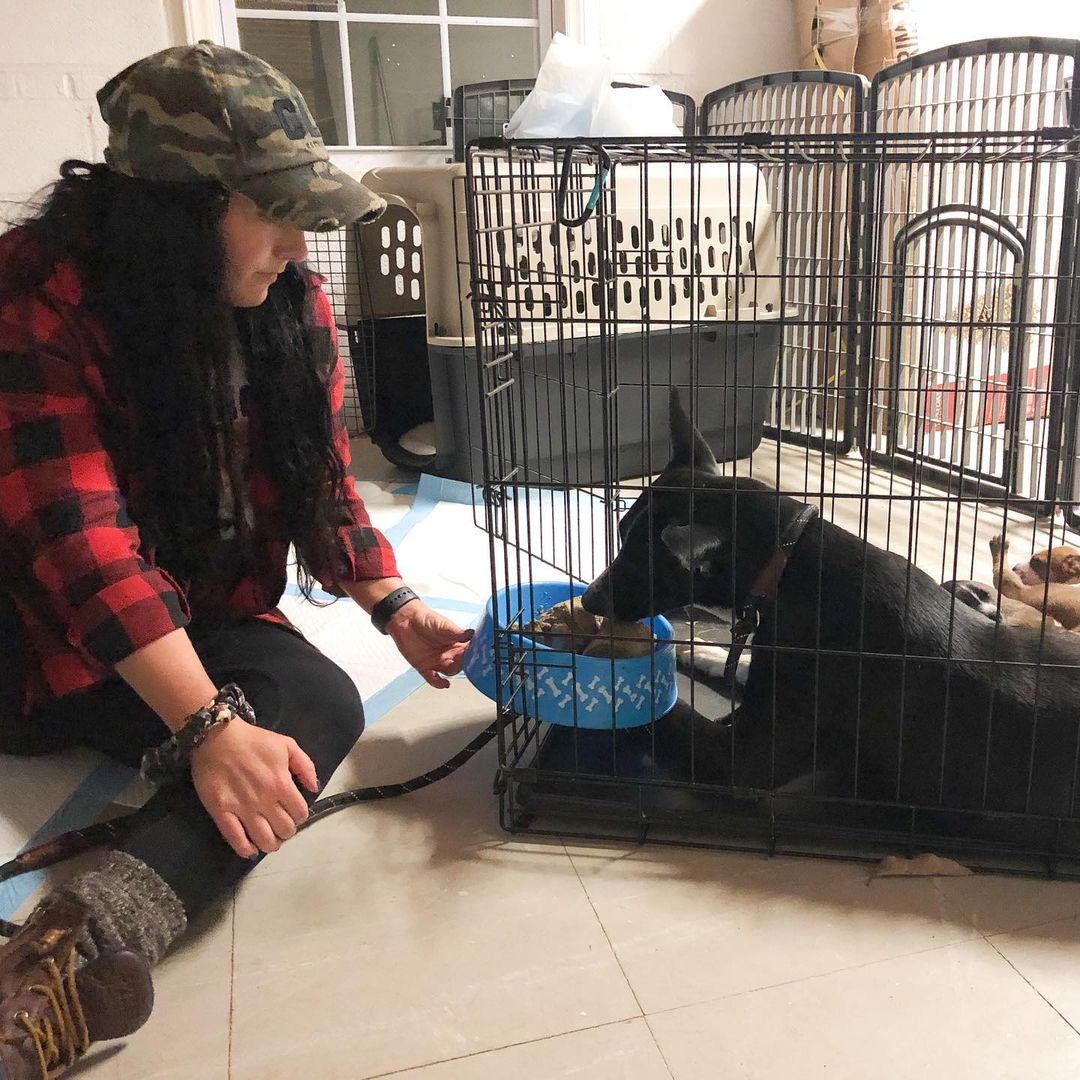 mujer alimentando al perro en la perrera