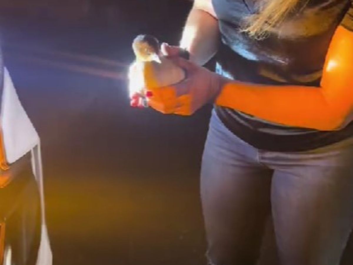 mujer sosteniendo un zambullidor