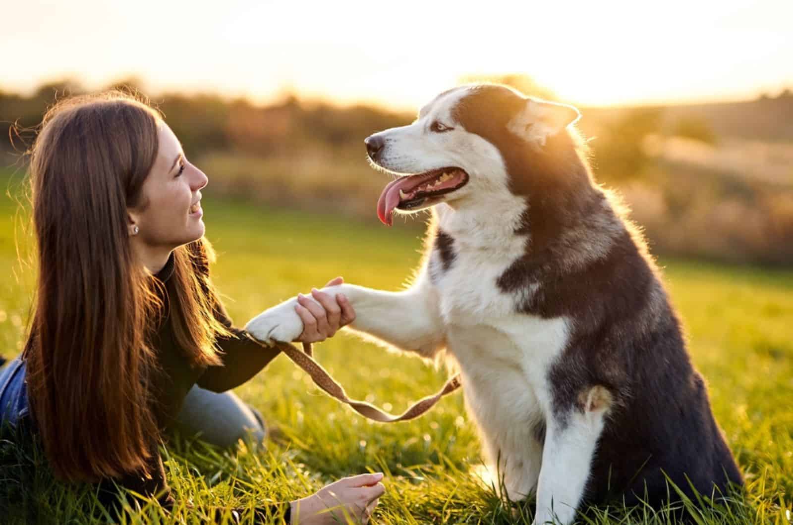 mujer sosteniendo la pata de su husky siberiano mientras está acostada en el césped