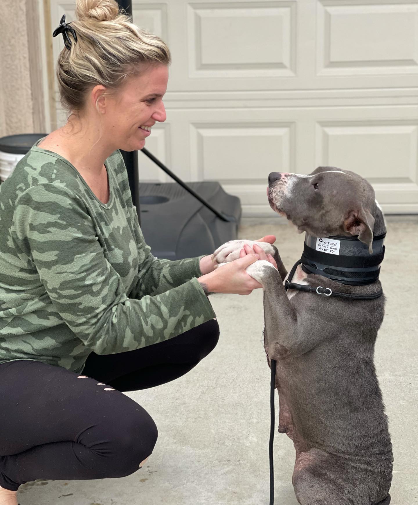 mujer sosteniendo un pitbull por las patas