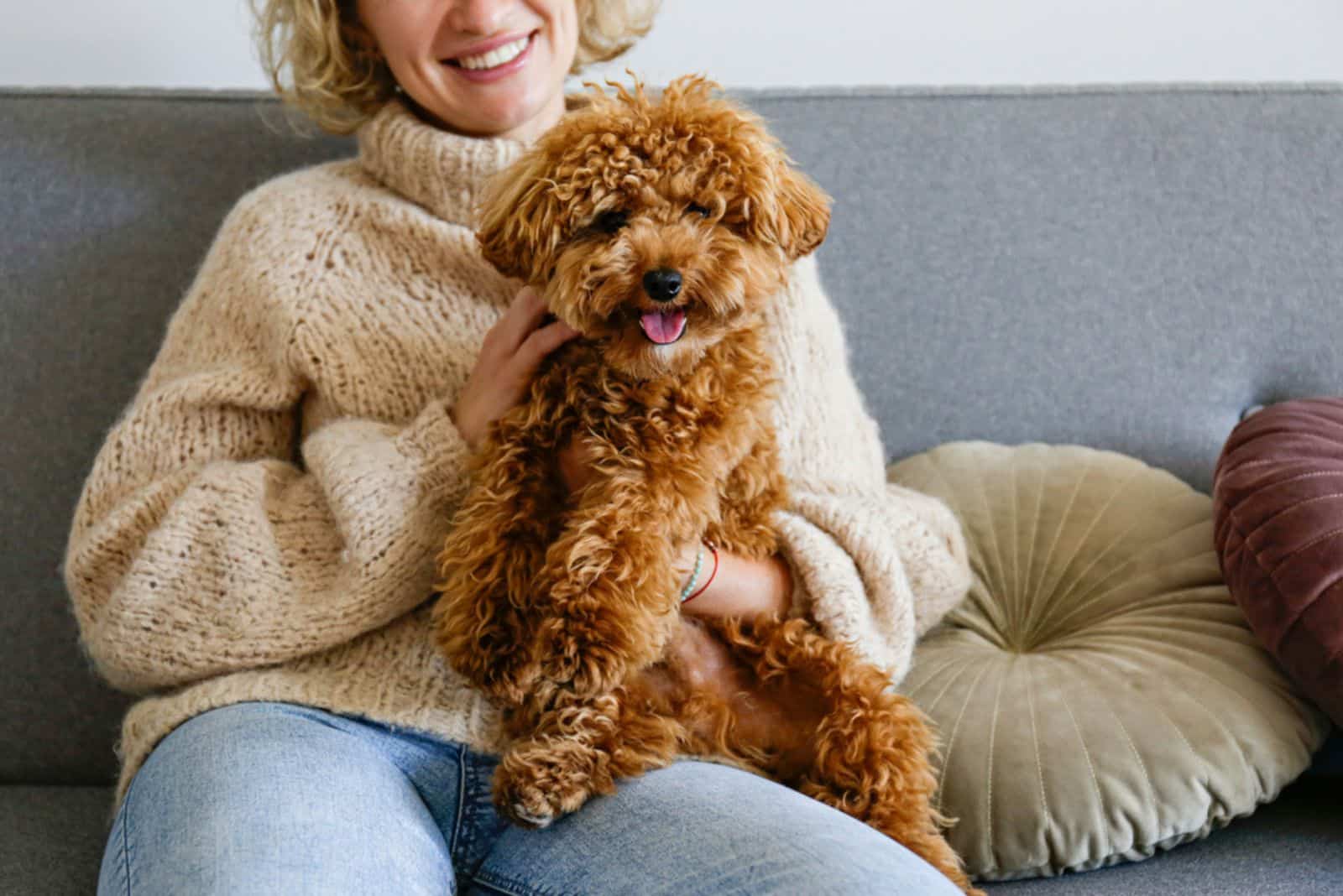 mujer sosteniendo un poodle toy en sus brazos en el sofá