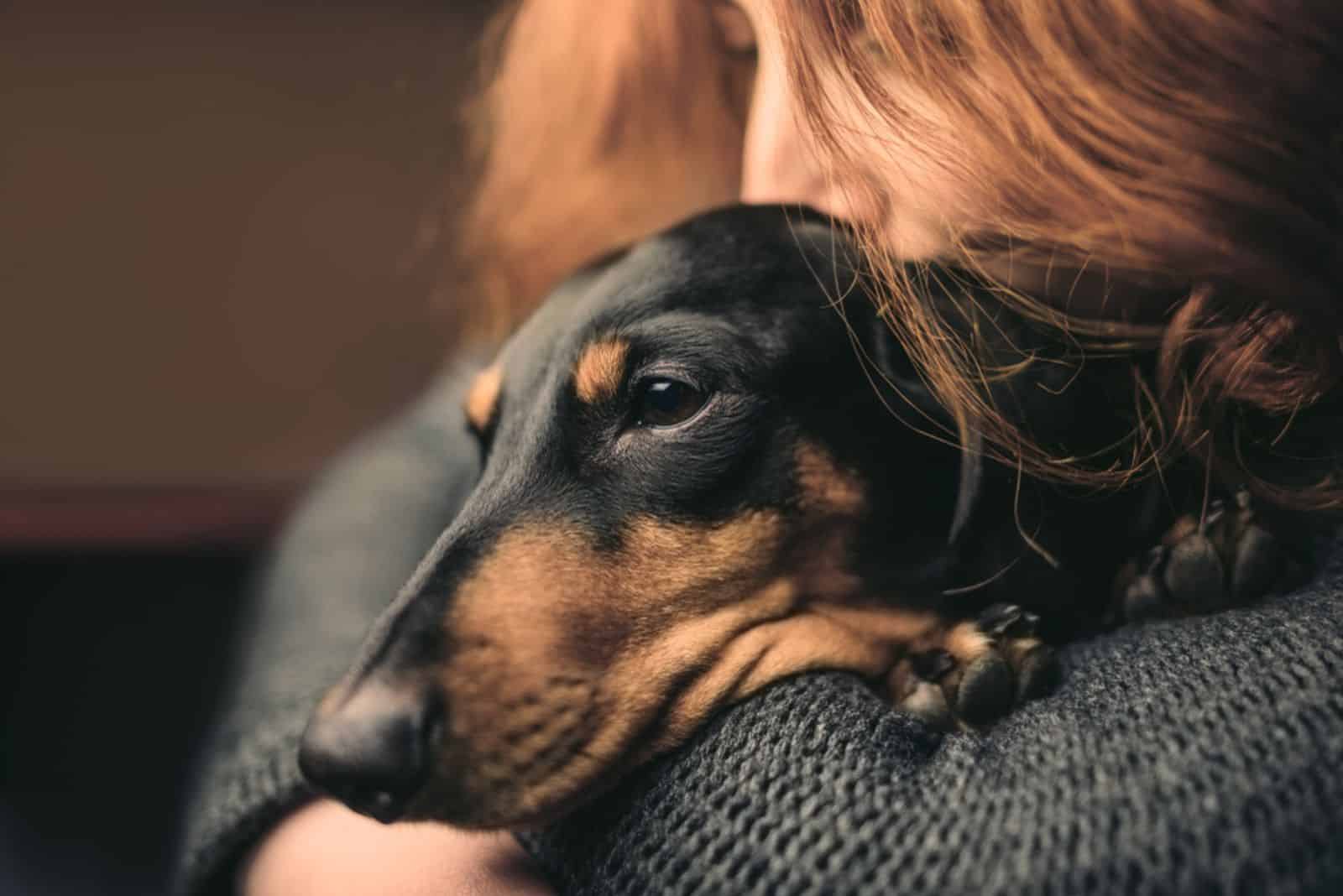 mujer abrazando a un perro dachshund