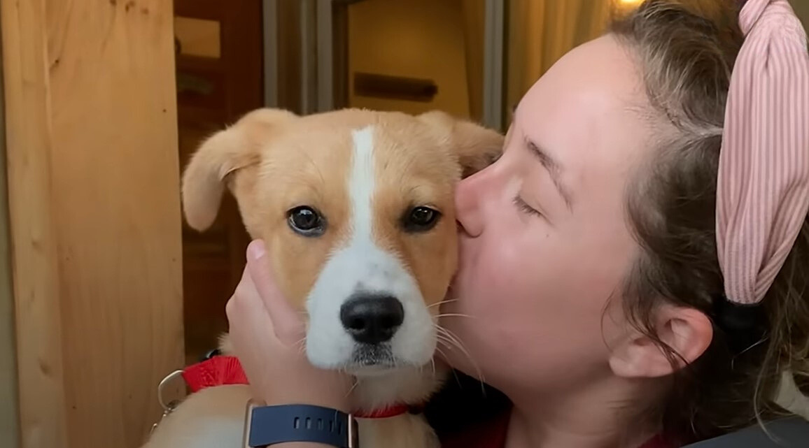 mujer besando perro