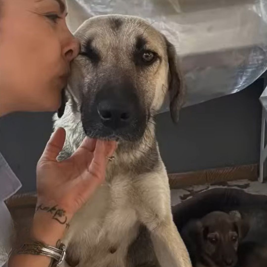 mujer besando a mamá perra