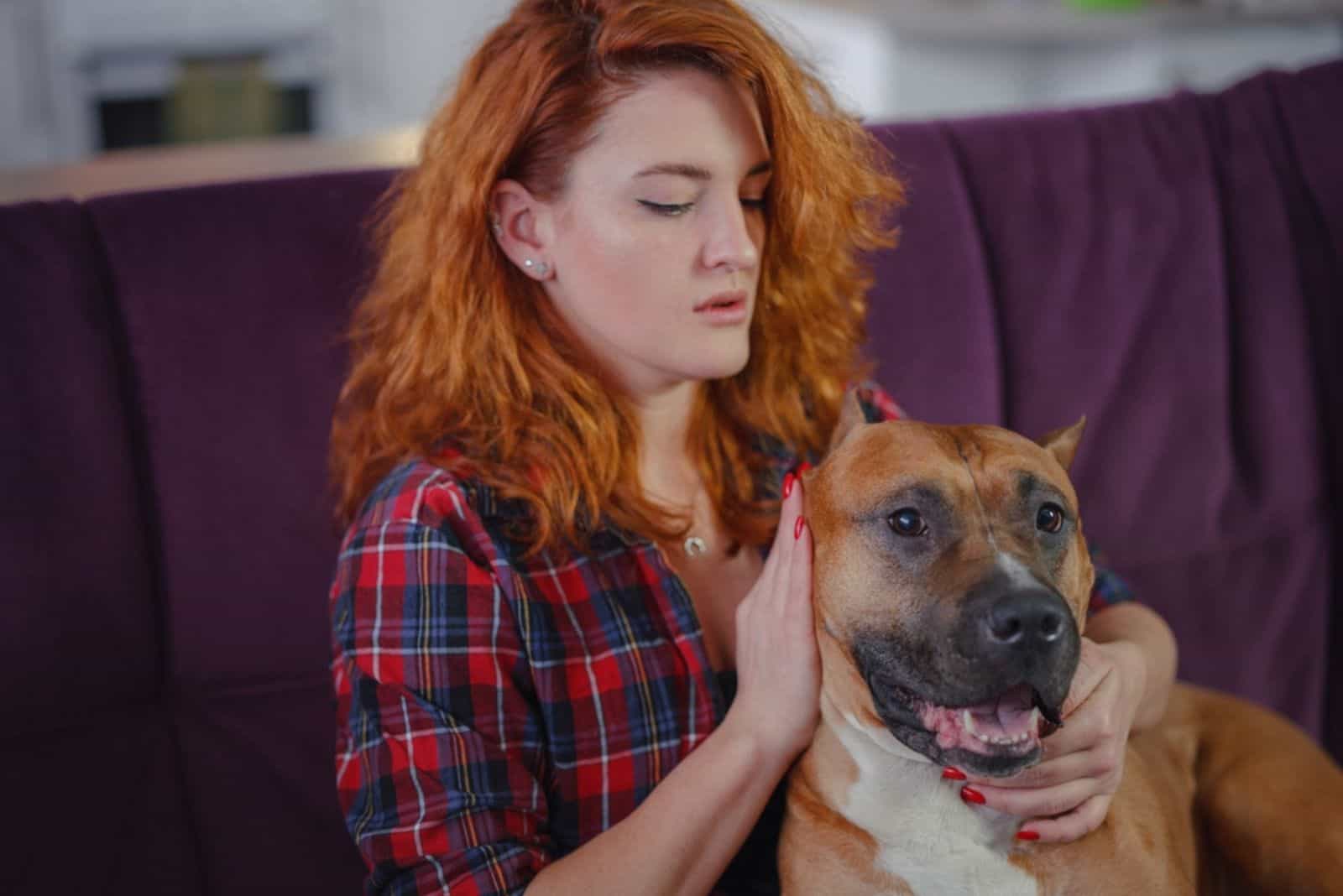 mujer acariciando a su terrier American Staffordshire en el sofá