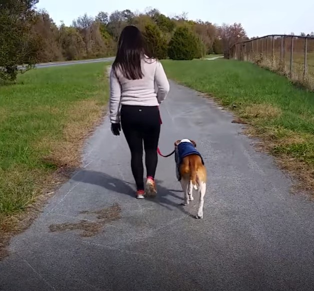 mujer paseando al perro