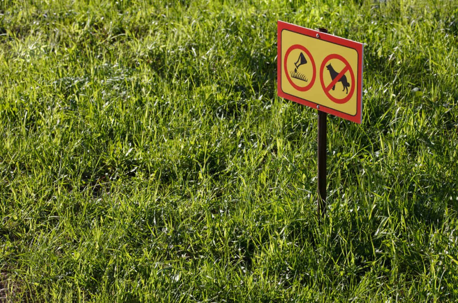 letrero amarillo con aplicación química no perros en césped verde